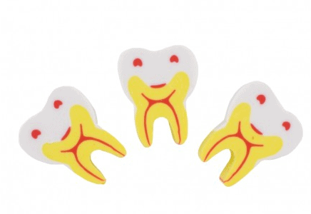 PORTACEPILLOS MOLAR 1 goma-molar-bader